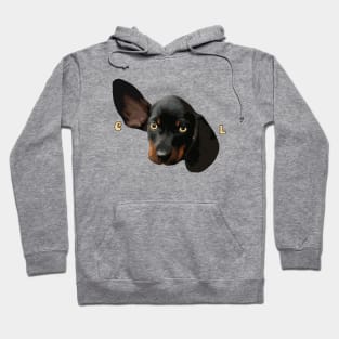 Cool Dachshund Wiener Dog Hoodie